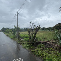 Bán Lô Diên Thọ 2600M2, 2Mt Đường Nhựa Và Betong