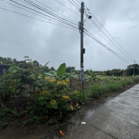 Bán Lô Diên Thọ 2600M2, 2Mt Đường Nhựa Và Betong