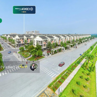 Rổ Hàng Biệt Thự Vườn Đẳng Cấp, Giá Gốc Chủ Đầu Tư, Vốn Thấp, Pháp Lý Chuẩn, Đơn Giá Bán 52 Triệu