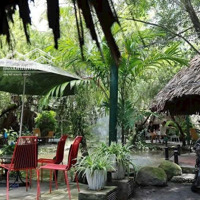Cho Thuê Mặt Bằng Cạnh Đặng Văn Bi Sầm Uất Thủ Đức. Diện Tích: 20X65M (1300M2)