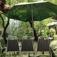 Cho Thuê Mặt Bằng Cạnh Đặng Văn Bi Sầm Uất Thủ Đức. Diện Tích: 20X65M (1300M2)