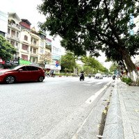 Mặt Phố Kim Mã, Vỉa Hè Rộng, Kinh Doanh, Mặt Tiền Đẹp, Dân Xây, Dòng Tiền Tốt, 49M*6T