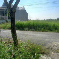 Chủ Đi Nước Ngoài Bán Gấp Lô Đấtmặt Tiềnđ. Tân Thới Nhì, Shr, 100M2 Giá Bán 1,4 Tỷ. Kdc Đông, Tiện Nghi.