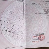 Lô Góc 2 Mặt Tiền Kqh Trần Anh Tông 100M2 Ngang 7M Chỉ 7.3 Tỷ