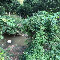 Cho Thuê Đất Tại Lạc Lương, Yên Thuỷ, Hoà Bìnhdiện Tích2000M2 Ô Tô Vào Tận Nơi, Điện Nước Đầy Đủ