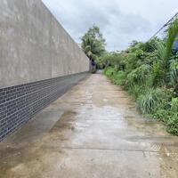 NHÀ VƯỜN PHÚ HƯNG ĐƯỜNG XE 16 CHỖ GẦN TRƯỜNG NGUYỄN TRÍ HỮU