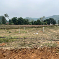 Bán Lô Đất Siêu Phẩm View Trọn Hồ Bai Cái - Thạch Thành - Thanh Hóa, Chỉ 399 Triệu - Giao Dịch Ngay