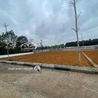 Bán Đất Giá Rẻ Cho Gia Đình Trẻ Lại Thượng Đường To Thông 115M Nhỉnh 2 Tỷ.