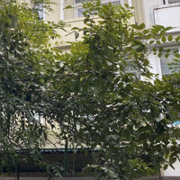 Bán Nhà Liền Kề Khu Đô Thị Viglacera Xuân Phương