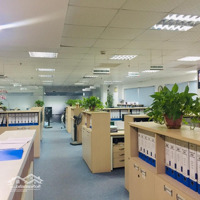Mcho Thuê Mb Tầng 1,2,3,4 Phố Nguyễn Khang,Cầu Giấy, Diện Tích: 110 M2 X 4 Tầng + 1 Hầm,Tm,Giá 90 Triệu/Tháng