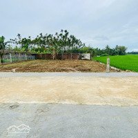 Cần Bán Gấp Lô Đất 2 Mặt Tiền View Lúa Sát Hội An Giá Chỉ 500 Triệu