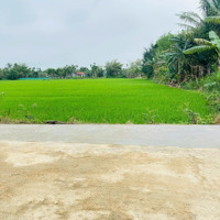 Cần Bán Gấp Lô Đất 2 Mặt Tiền View Lúa Sát Hội An Giá Chỉ 500 Triệu