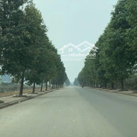 300M2 Full Thổ Hàng Hiếm Thôn 5 Phú Cát Quốc Oai Gần Cn Cao Hoà Lạc. Gần Nhà Máy In Tiền Quốc Gia