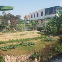Bán lô đất 131m2 ngang 10m tuyến 2 trục thôn Phong Cầu Đại Đồng Kiến Thụy