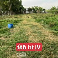 Hot! Đất Nhà Vườn 1000M2 Hưng Long, Bình Chánh, Hcm