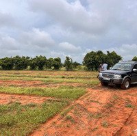 Bán Dn 5000M2 Tại Hồng Thái, 550 Triệu, Bắc Bình, Bình Thuận Hàng Hiếm Giá Tốt