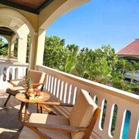 Bán Dn 5000M2 Tại Hồng Thái, 550 Triệu, Bắc Bình, Bình Thuận Hàng Hiếm Giá Tốt