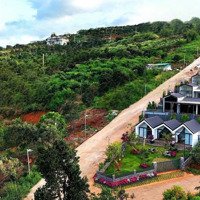 Bán Đất Mê Linh, Đà Lạt, 104M2, 479 Triệu, Hàng Độc Quyền Cùng View Triệu Đô