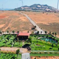 Bán Trang Trại, Khu Nghỉ Dưỡng Tại Xã Phan Lâm, Bắc Bình, Bình Thuận, 750 Triệu, 5000 M2