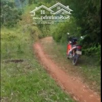 Bán Đất Tại Xã Kiệt Sơn, Tân Sơn, Phú Thọ, Giá Siêu Hời 400 Triệu, 3162 M2