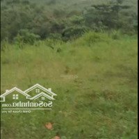 Bán Đất Tại Xã Kiệt Sơn, Tân Sơn, Phú Thọ, Giá Siêu Hời 400 Triệu, 3162 M2