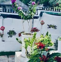 Cho thuê Biệt thự trung tâm Nha Trang 17tr/th