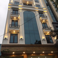 Cho Thuê Nhà Mới Nguyên Hồng, 80M2X8T Có Hầmmặt Tiền6M Thông Sàn Thang Máy Ốp Kính, Pccc, 60 Triệu