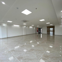 Cho Thuê Nhà Mới Nguyên Hồng, 80M2X8T Có Hầmmặt Tiền6M Thông Sàn Thang Máy Ốp Kính, Pccc, 60 Triệu
