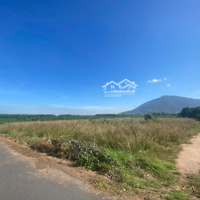 Bán Gấp Ấp 5, Tóc Tiên, Phú Mỹ, Bà Rịa Vũng Tàu, 7,15 Tỷ, 3567 M2