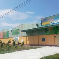 Cho Thuê Kho, Văn Phòng 2000M2 Tại Thôn 4, X. Hồng Sơn, H. Hàm Thuận Bắc, Bình Thuận