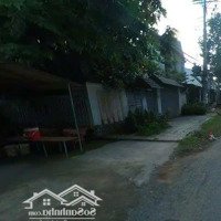 Chủ Cần Tiền Bán Gấp Đất Đường Dt904, Hòa Lộc, Tam Bình, Vĩnh Long 102M2