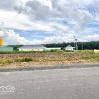 Kẹt Tiền Bán 25X50= 1250M2 Đất Thổ Cư,Mặt Tiềnđường Nhựa Thông Thẳng Ra Kcn, Shr Dân Đông. Giá 480 Triệu/Lô