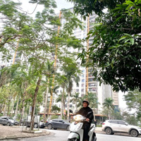 Cho Thuê Nhà Liền Kề Văn Phú Lô Góc 3 Mặt Thoáng, Kd Da Dạng Các Loại Hình Dịch Vụ. Vị Trí Đẹp
