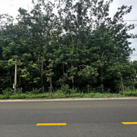 Cho Thuê Đất Trống (Làm Xưởng, Nhà Kho, Bãi Xe... )