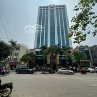 Bán Đất Mặt Phố Cát Linh 500M Mặt Tiền 10M Vị Trí Đắc Địa Phù Hợp Xây Tòa Nhà - Giá Đầu Tư
