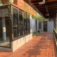 Cho Thuê Nhà Mặt Phố Vạn Phúc - Ba Đình, Mặt Tiền 12M Vỉa Hè Rộng Thênh Thang, Khu Vực Cafe Sầm Uất