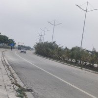 Bán Lô Đất Tmdv 50 Năm Mặt Đường Thịnh Đông, Hoằng Thắng, Hoằng Hoá