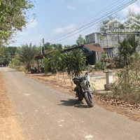Chỉ Hơn 50 Triệu/M Có Ngay Lô Đấtmặt Tiềnnhựa Cách Dt796 500M2, Ngay Ubnd Xã Thành Long, Sẵn Sổ, Cc Nhanh