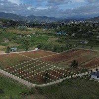 Bán 250M2 Khu Biệt Thự Gia Lâm, Lâm Hà, Lâm Đồng, Giá Bán 738 Triệu Full Đất Ở Liên Hệ: 0335497777