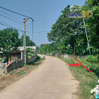 Bán 850M2 Có 500M2 Thổ Cư - Sổ Đỏ Hà Nội - Đầu Tư Kinh Doanh Nhà Vườn, Xưởng Kho, Khách Sạn