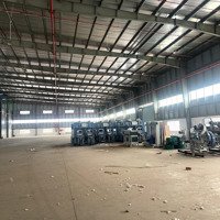 Cho Thuê Nhà Xưởng Mới Xây Kcn Long Khánh