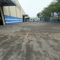 Cho Thuê Kho 4800M2 Phường Bình Chiểu, Thủ Đức, Có Pccc Tự Động Nghiệm Thu