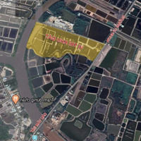 Bán Đất Mặt Tiền Đường Lý Nhơn, Xã Lý Nhơn, Cần Giờ, 88.170M2, Giá Bán 180 Tỷ