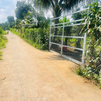 Bán Đất Hàng Gòn, 1,85 Tỷ, 1562 M2, Pháp Lý Đầy Đủ, Ngõ Vào 5M