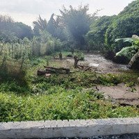 Hàng Hiếm Tại Đường Nguyễn Văn Cừ,Phong Điền,Tp Cần Thơ, 200M2,Full Thổ Cư