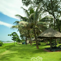 Cho Thuê Đất Tại Ocean Dune Phan Thiết