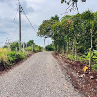 Bán Đất Hàng Gòn, Long Khánh, Đồng Nai, 1,18 Tỷ, 1000M2 Bao Đẹp Uy Tín