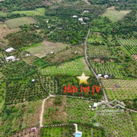 Bán Đất Hàng Gòn, Long Khánh, Đồng Nai, 1,18 Tỷ, 1000M2 Bao Đẹp Uy Tín