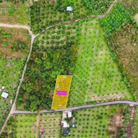 Bán Đất Hàng Gòn, Long Khánh, Đồng Nai, 1,18 Tỷ, 1000M2 Bao Đẹp Uy Tín