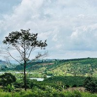 Bán Đất Vườn Trên 1000M2 / 450 Triệu (View Núi, Hồ)